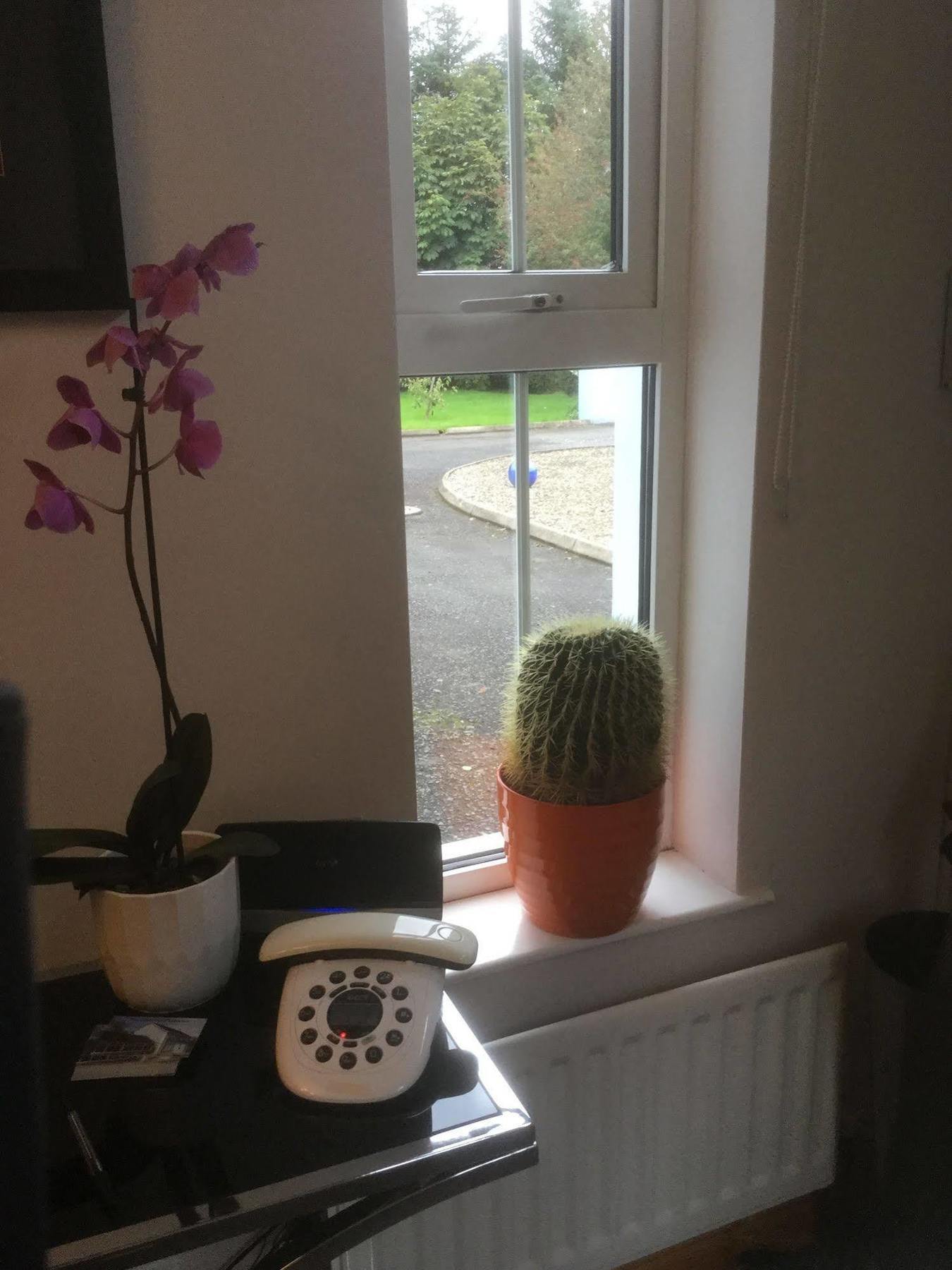 Five Oaks Bed & Breakfast Londonderry Luaran gambar