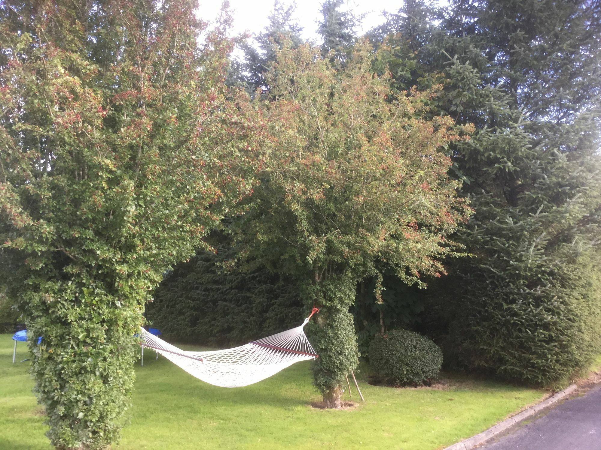 Five Oaks Bed & Breakfast Londonderry Luaran gambar